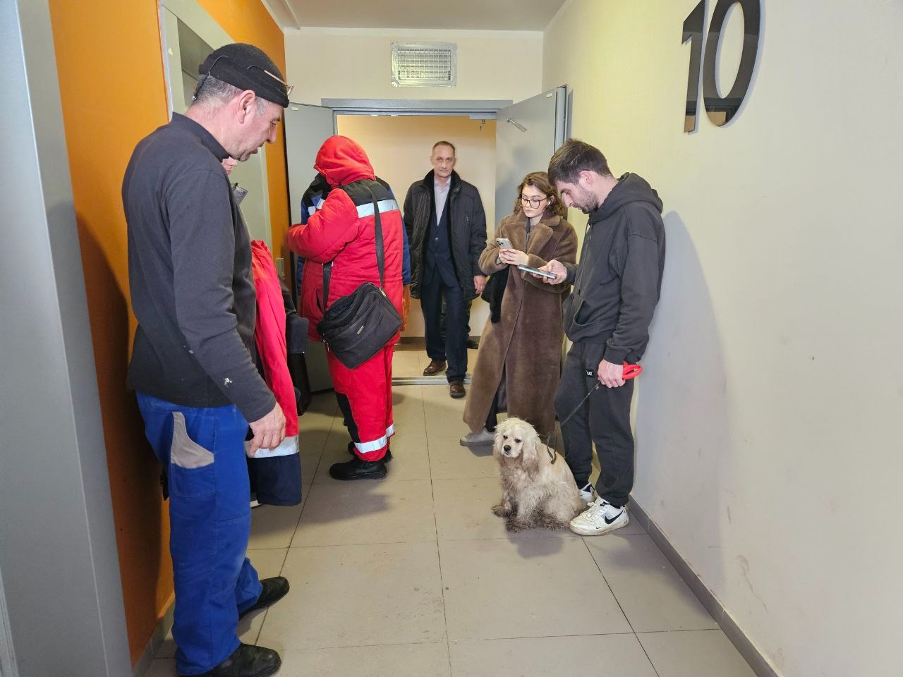 Благополучно завершилась история спасения собаки в поселке Томилино |  14.02.2024 | Люберцы - БезФормата